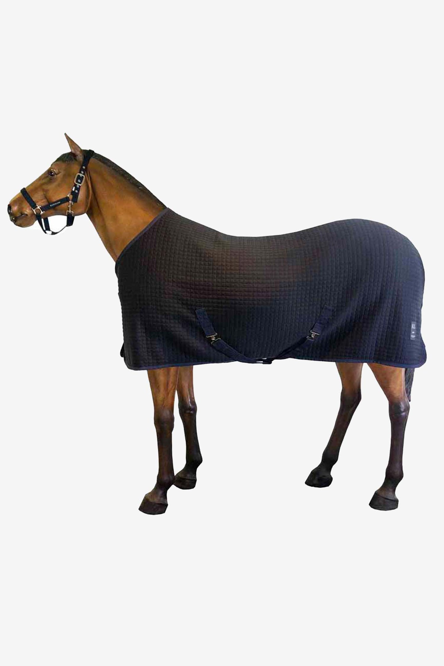 Classic Wool Evolution Stalltäcke