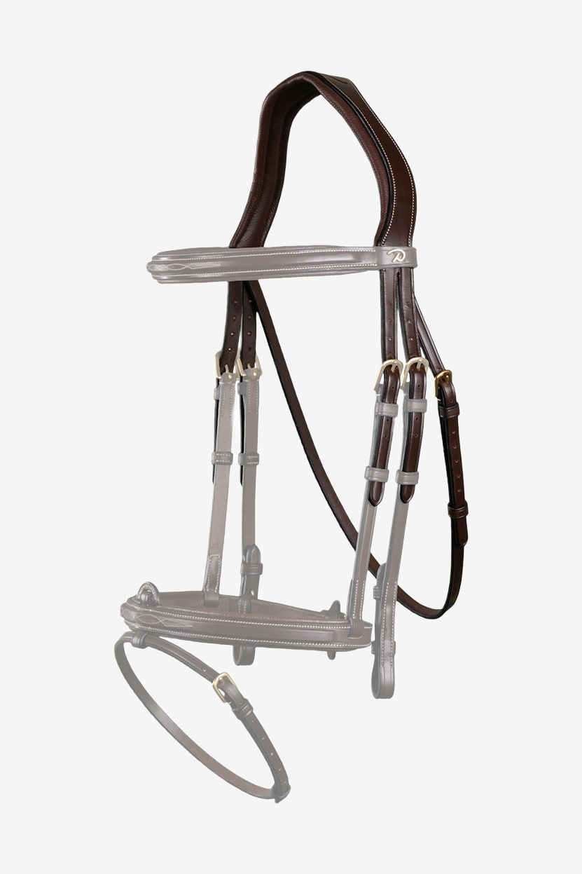 Anatomiskt Nackstycke Dyon Collection