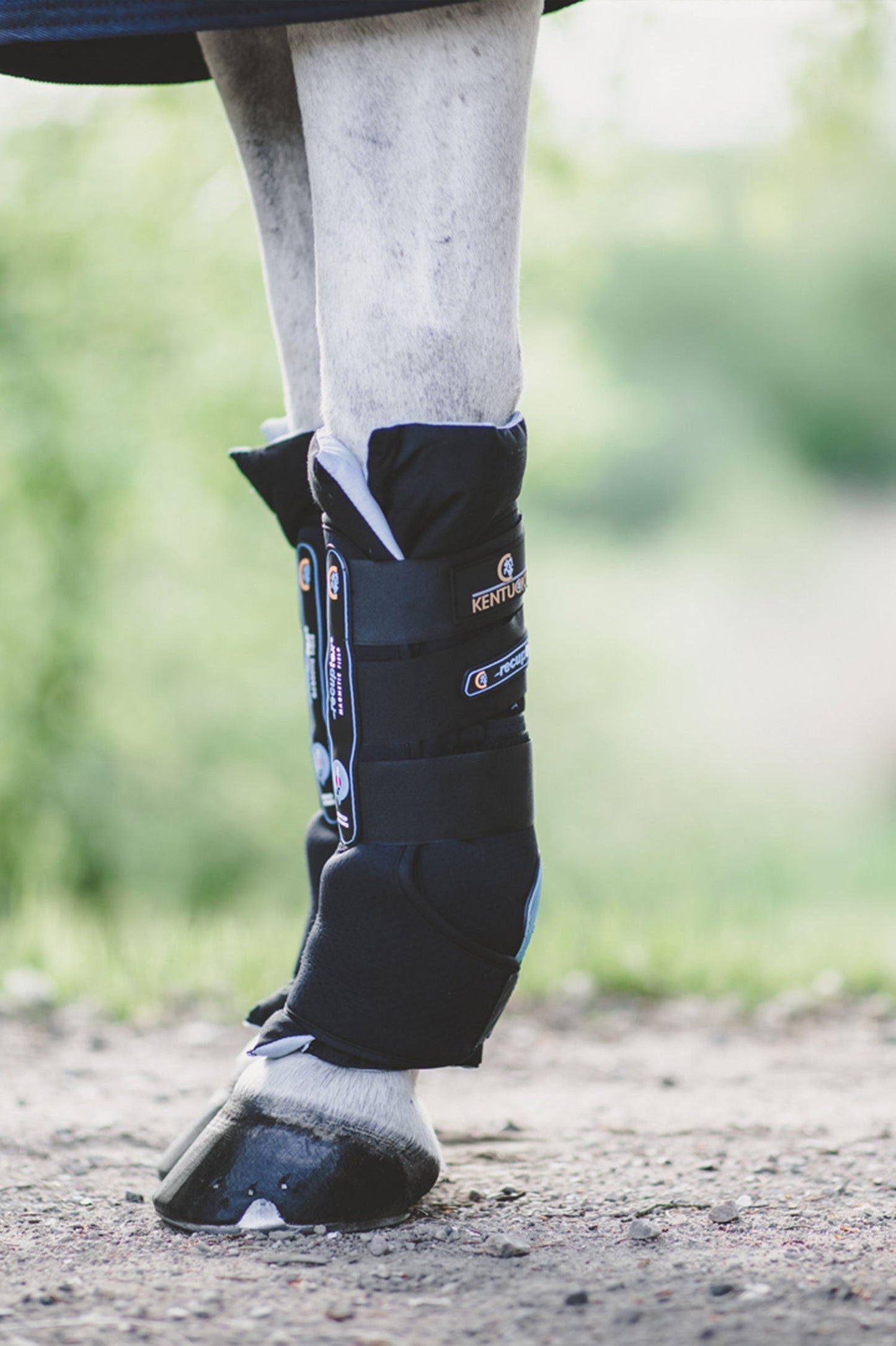 Magnetic Stallbandage Recuptex