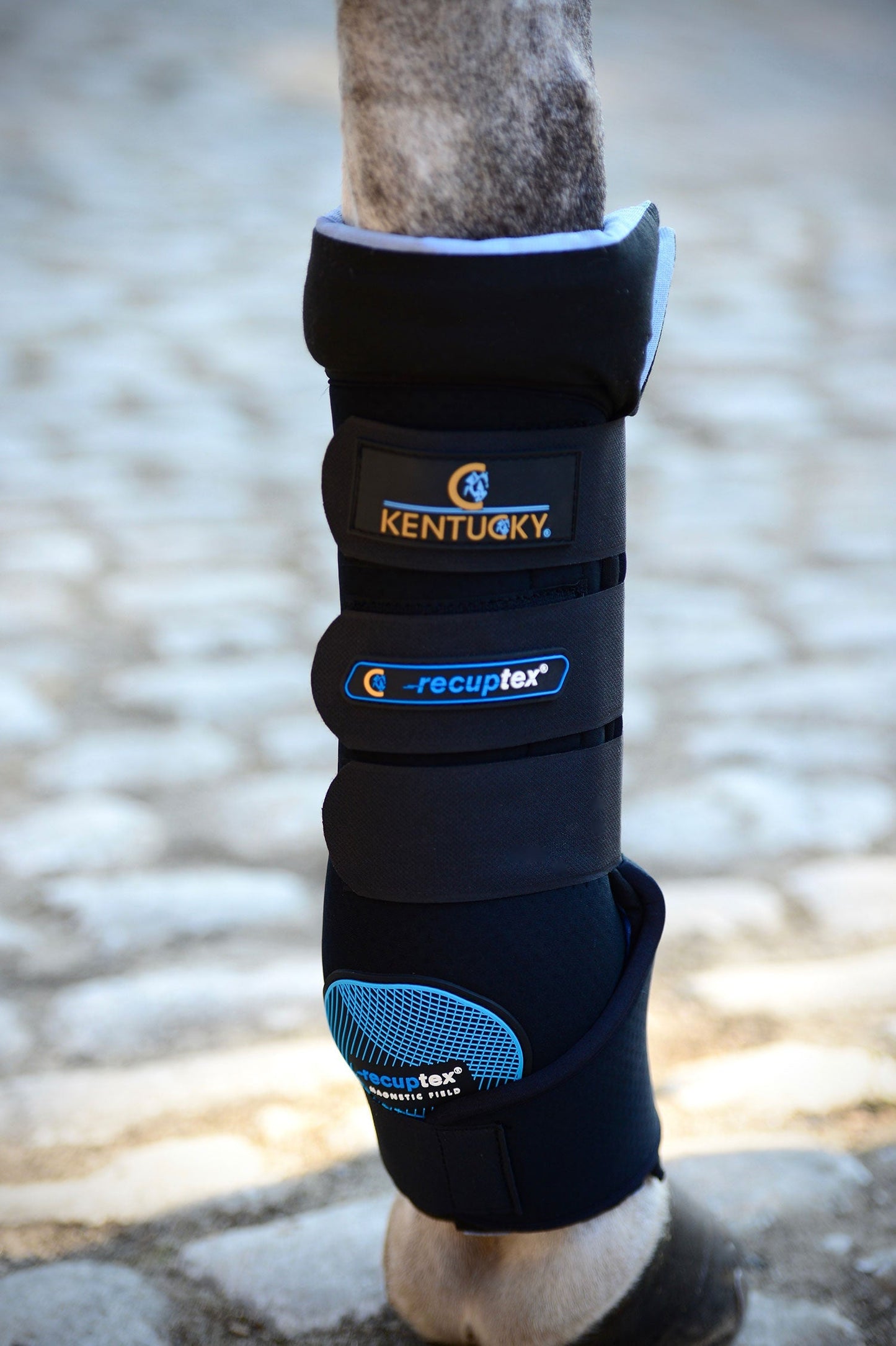 Magnetic Stallbandage Recuptex