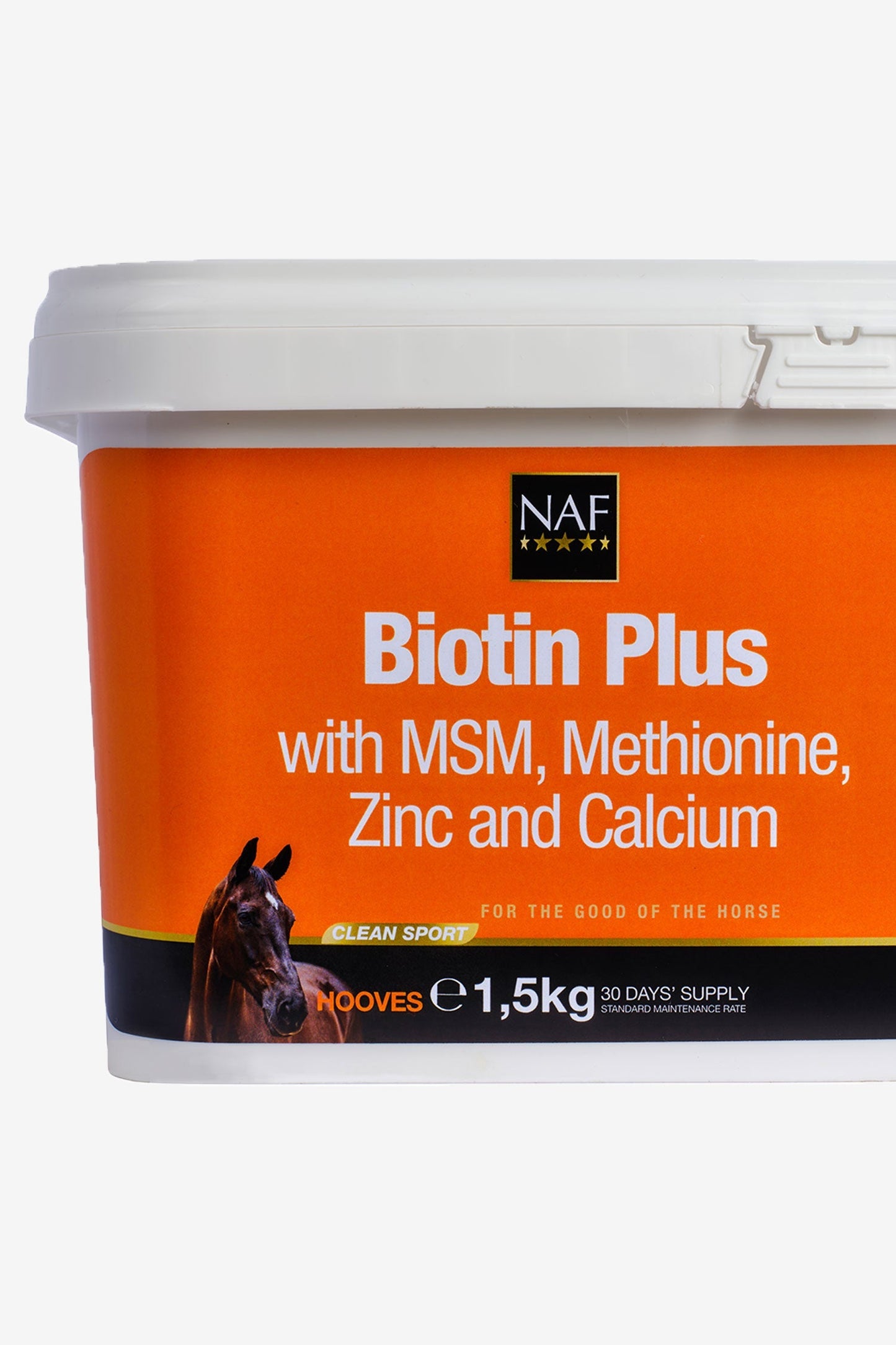 Biotin Plus