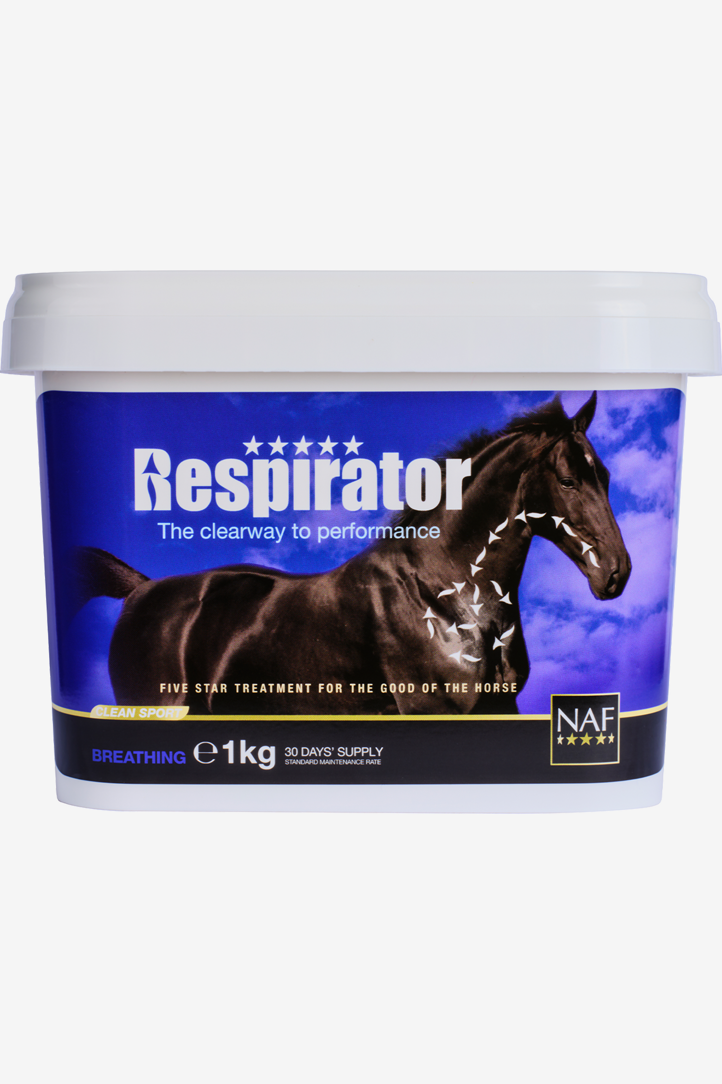 Respirator Pulver