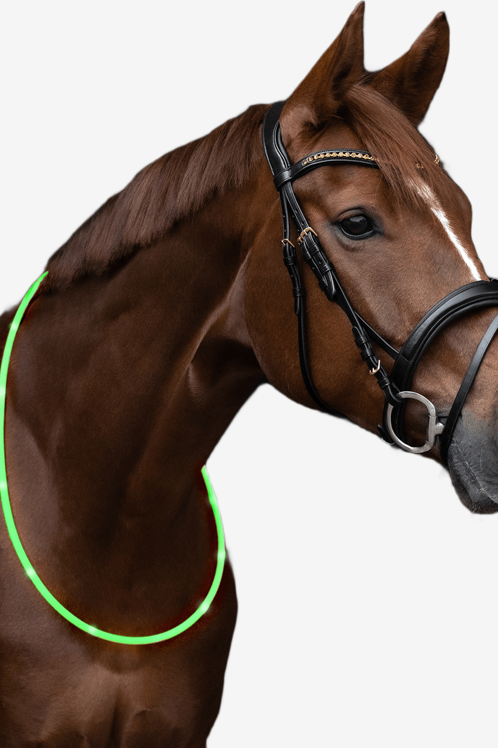 Led Light