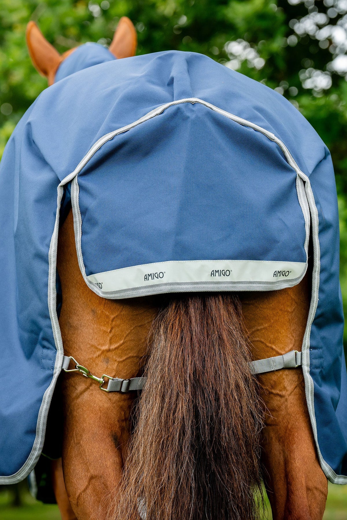 Amigo Vintertäcke 1200D plus 250g