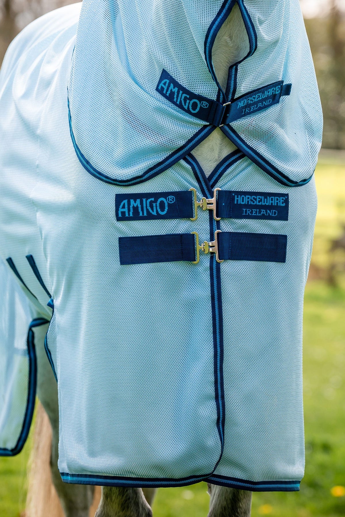 Amigo Flugtäcke + hals Azure/Navy