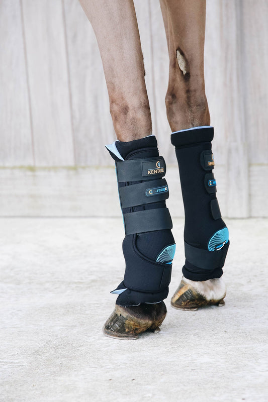 Magnetic Stallbandage Recuptex
