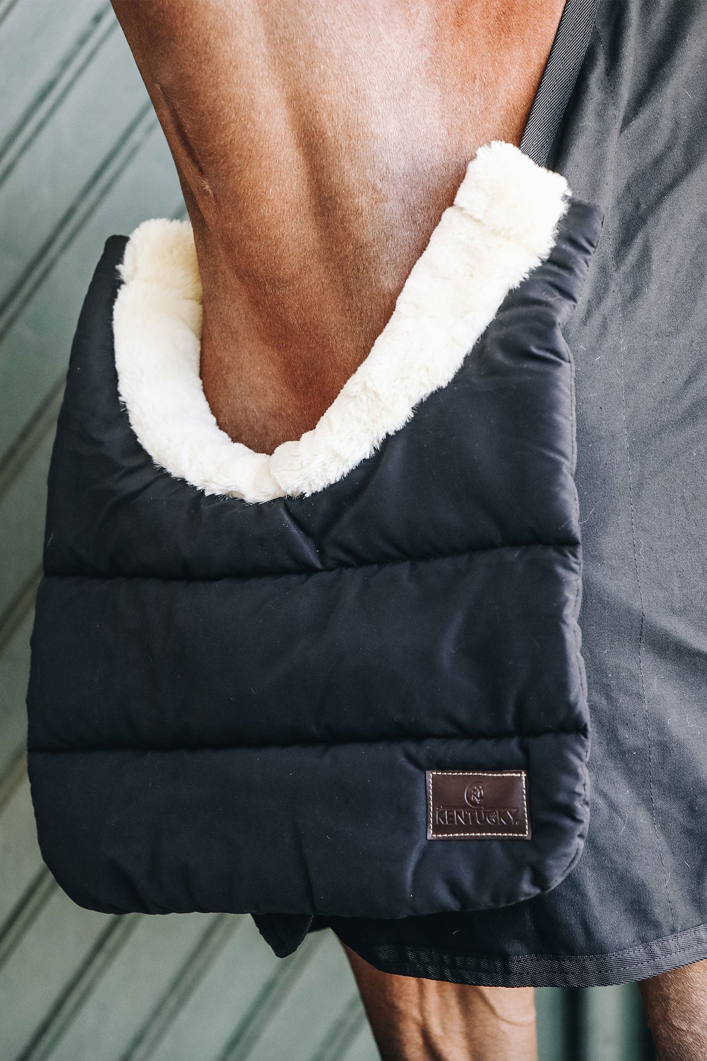 Täckesbib Vinter