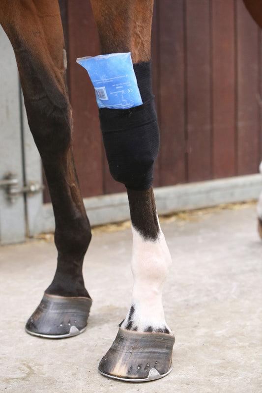 Tendon Grip Linda